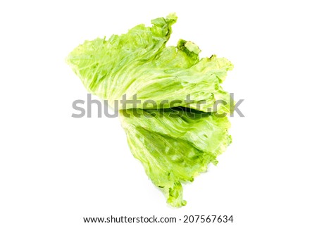 Fresh Green Iceberg Salad