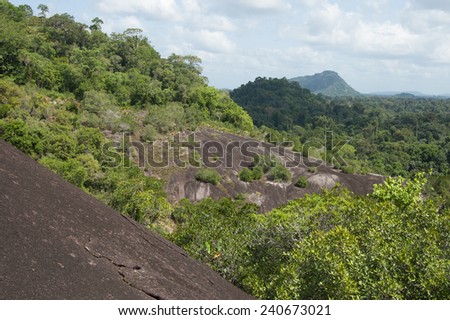 Voltzberg granite dome in the Central Suriname Nature Reserve. On the background the Van Stockemberg.