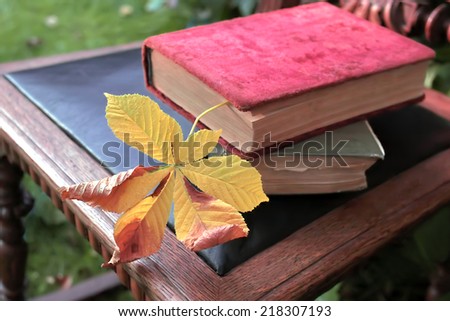 Two retro books laid on the old chair with yellow leaf as a bookmark, concept of knowledge, outdoor shot