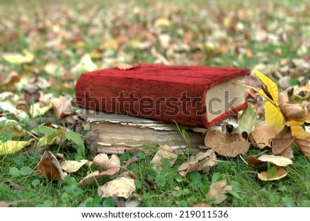 Two old books laid on a grass, fall scene, concept of memories