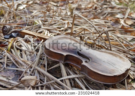 Close up of an abandoned violin on the frozen grass, music concept, fall scene. Outdoor shot with shallow depth of field