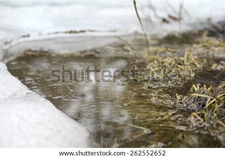 Closeup of a springtime flood with plants in water and snow around, concept of season change. Outdoor shot with the blurred  back and foregrounds