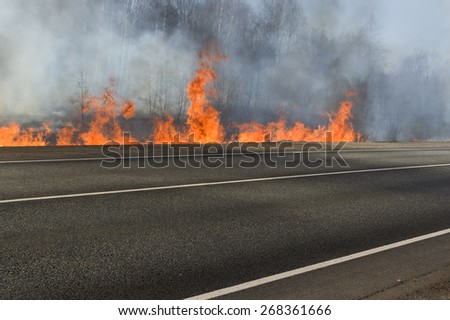 Forest fire and empty road closed, outdoor shot, concept of natural disaster or war