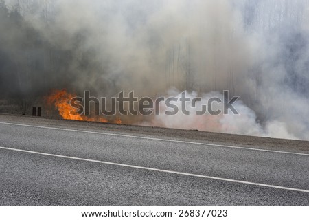 Road in fire and smoke, concept of natural disaster