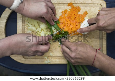 Female hands chopping onion on a kitchen tray, overhead shot