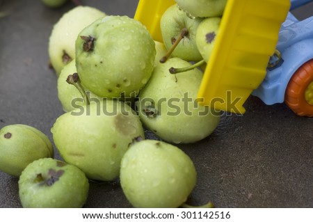 Closeup of toy truck offloading green apples on the road