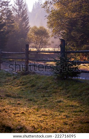 old fence in the forest at dawn