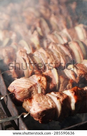 shashlik with onions. Juicy slices of meat being prepared in the heat. Delicious juicy meal
