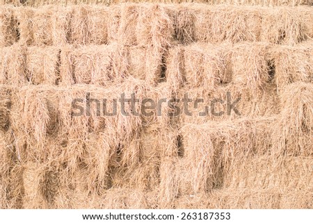 Pile of straw used animal food in farm