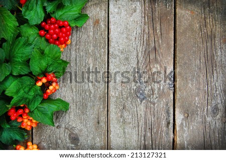 Holiday card over wooden background. Autumn berries on wooden panels with copy space.