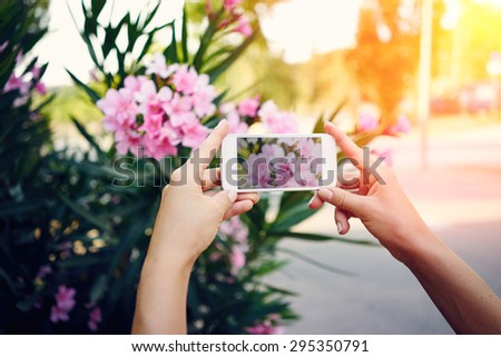 Woman photographs flowers on smartphone. girl holding a smart phone on a background of flowers. flare light, cross process.