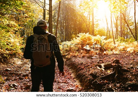 A hiker with backpack is walking in the autumn forest on a sunny day. A traveler is exploring new landscapes of the national park on the weekend.
