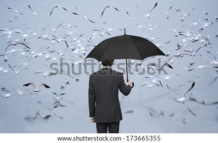 man with umbrella watching a flock of birds