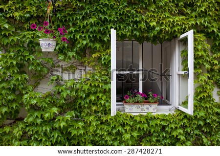green overgrown house with the window open