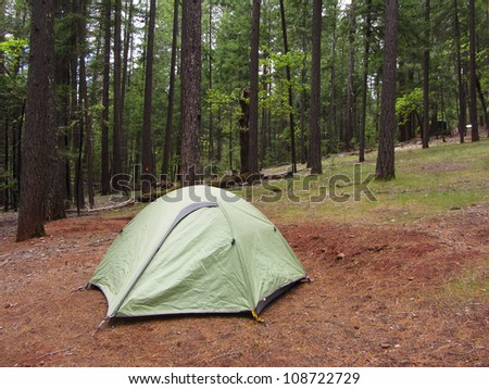 A lone tent pitched in a forest near Trinity lake area of California