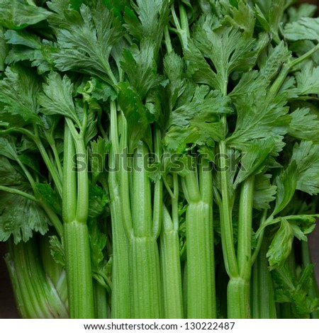Celery stalks close up