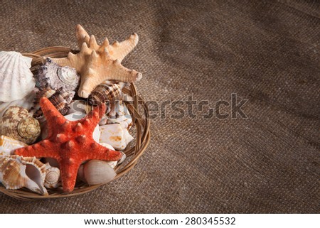 basket with shells and starfish