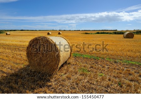 straw bales in irish countryside, Ireland