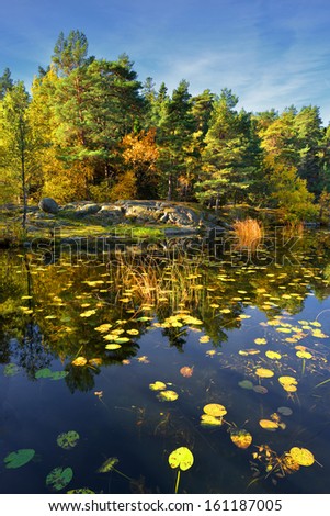 a quiet place in the nature in a european northern country, Sweden, Bagarmosen