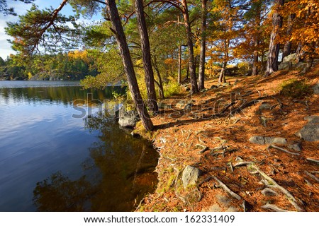 a quiet place in the nature in a european northern country, Sweden, Stockholm, Solna park