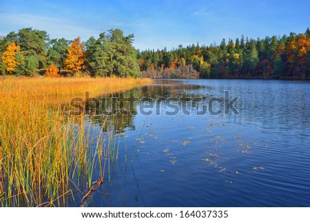 a quiet place in the nature in a european northern country, Sweden, Bagarmosen