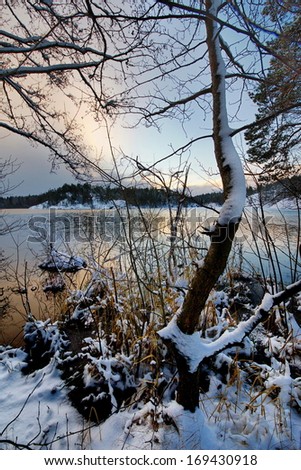 Winter time in forest lake. Evergreen wood and shore in snow, Sweden