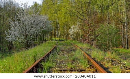 Spring, Railway Tracks Through a Forest, Poland