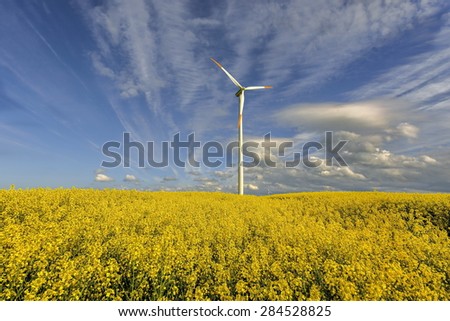 Wind power station in field with rape oil seed plants, Poland