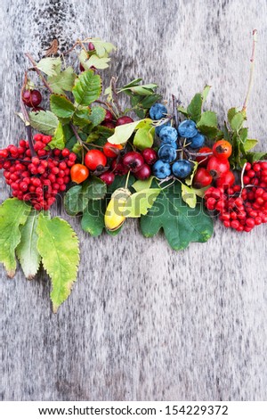 Autumn berries on old wooden surface top view