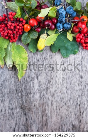 Autumn berries on old wooden surface top view