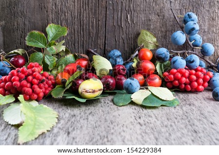 Autumn berries on old wooden surface