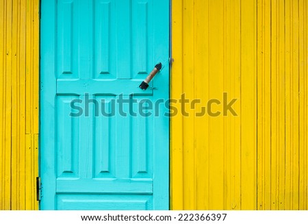 Painted wooden door on the wall background