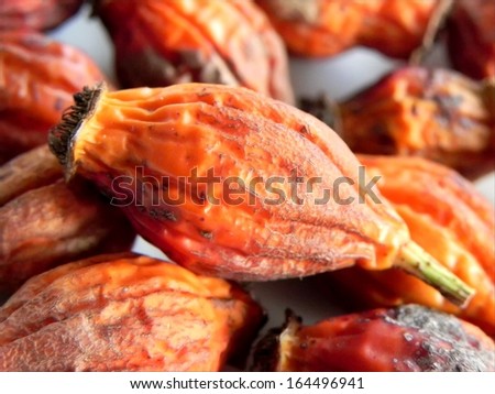 Macro shot of the dried rose hip/Dried rose hip