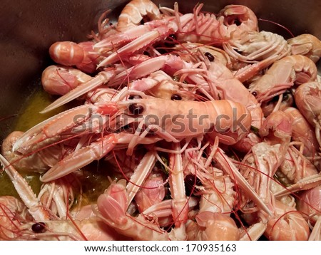 Fresh Mediterranean Prawn cooked on the simple way with olive oil, rosemary, garlic and white vine.../Cooked Mediterranean Prawn