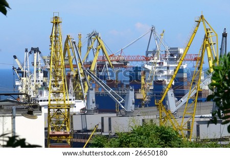 Sea port cranes working and loading containers