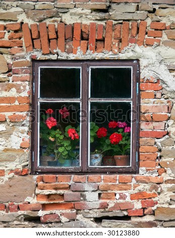Dark window with red flowers on an old brick wall