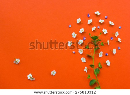 Creative tree made from white flowers on orange background.Yarrow flower.Useful as background