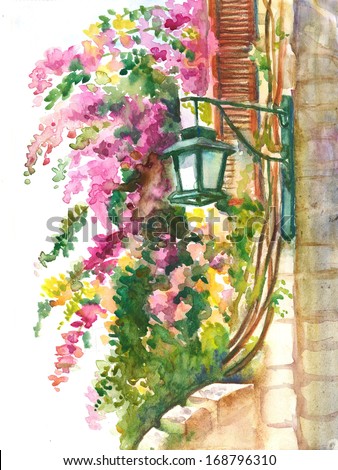 Lantern and  Blooming  Pink Bougainvillea  Framing the Window . Watercolor illustration.