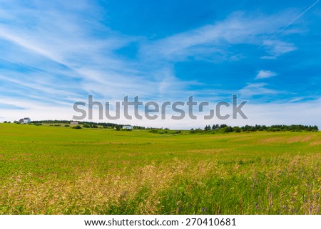 Green field in Prince Edward Island