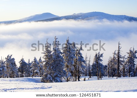 beautiful winter scenery with 3 planes: winter trees on the first plane, clouds in the middle and two mountain tops in the background, Karkonosze, Czech republic