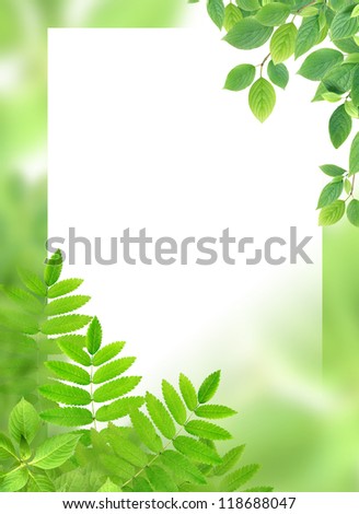 Green background with leaves and blank white surface for text