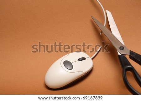 Brown Computer Mouse