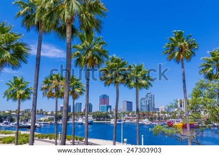 Rainbow Harbor with Palm trees and boats in front of  city skyline at Long Beach , CA