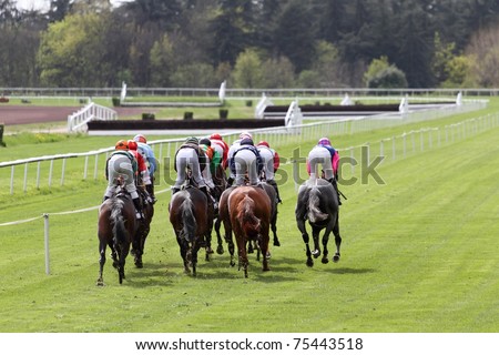 details of a Horse Racing