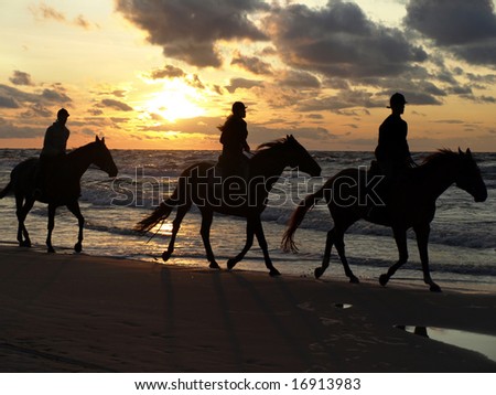Young people riding up the coast. Baltic sea.