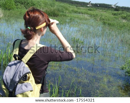 Birdwatching on the swamp -  Siemianowka lake, Poland. More images of birdwatching in my portfolio.