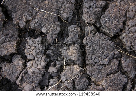 burnt ground dirt close up
