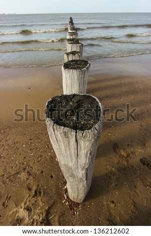 Wave breaker made of wooden stakes on the beach.