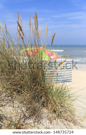View of the beach from the sand dunes. Focused on the foreground with grass and dune. Background with a parasol, beach and water and out of focus