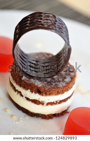 Elegant white chocolate mousse cake
